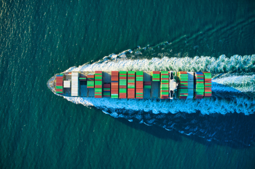 Alvyno Export & Import Pvt Ltd